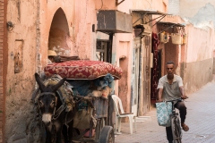 Marrakech Street Scene 280