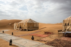 Sahara Camp Site 175