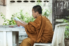 Buddhist Monk Wat Chedi Luang 10067