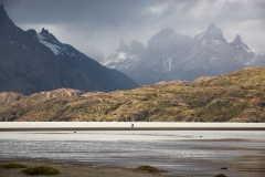 Torres del Paine 222