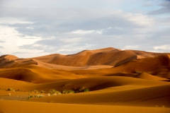 Sahara Desert Morocco 25