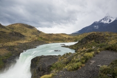 Torres del Paine 381