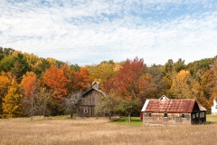 Michigan 050