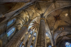 Barcelona Cathedral 278