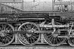 Illinois Train Museum 019 B&W