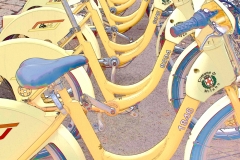 Italian Bicycles
