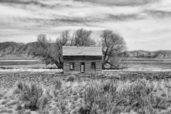 Wyoming Cabin B&W